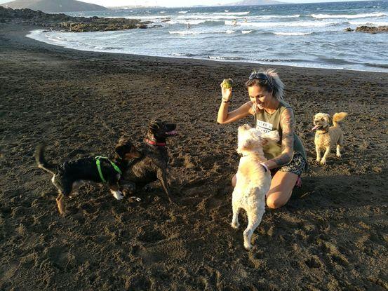 En la playa de perros jugando mis "chuchos" y algún infiltrado.