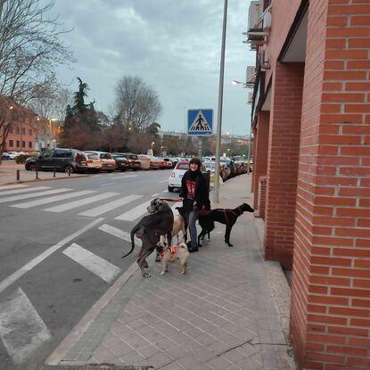 Tiza, Kenza, Lía, Fermín y Bebé