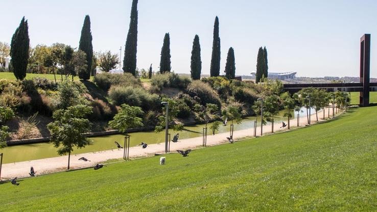 JParque cerca de casa,Juan Carlos I