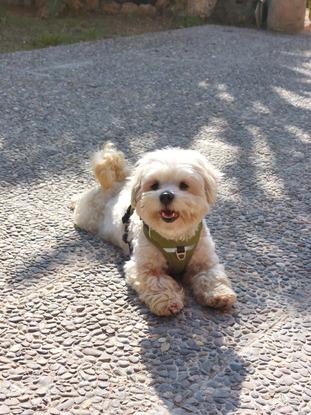 Blanqui en su estancia en casa