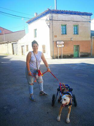 Mi perrita Anya con 15 años
