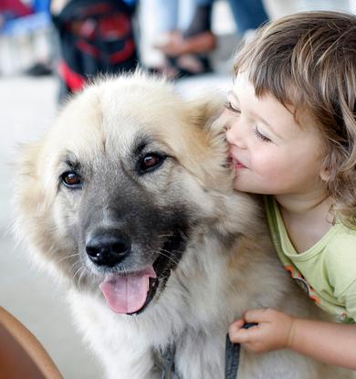 Homy hace más de 10 años, la encontramos abandonada en la nieve de cachorro  y se quedó con nosotros 17 años. Ya se fue!