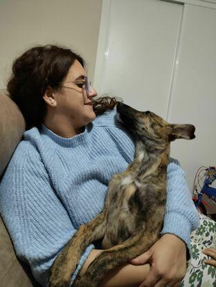 Skype , perrita que se quedó durante 8 días en casa 🏡