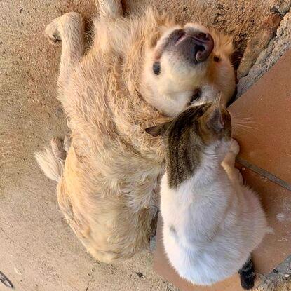 Wendy y Sisu