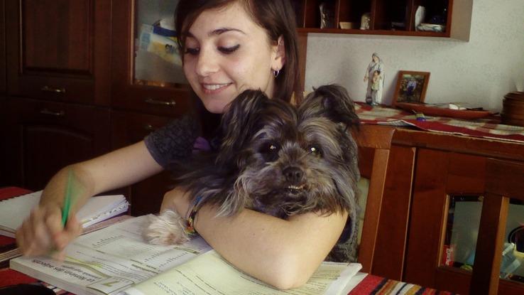 Noel, el amor de mi vida. Se ha muerto en Agosto. Tenia 18 años.