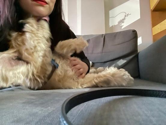 Un besito de Gastón