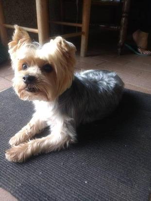 Mi Paquito