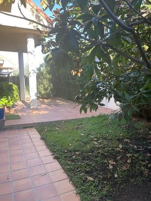 Jardín delantero