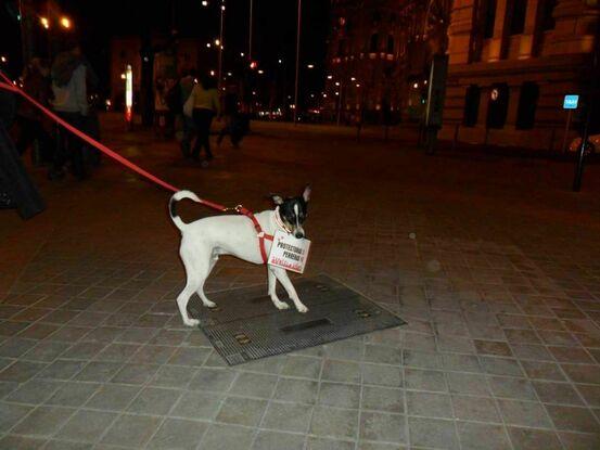 En una manifestación por sus derechos.