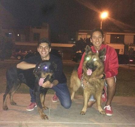 Rocco y Ruffo: Un paseo inolvidable