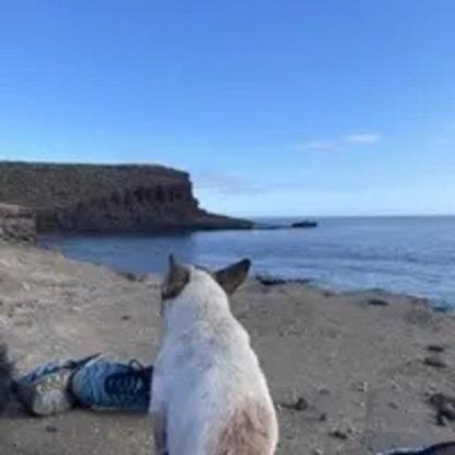 Otro día más disfrutando de un día de playa