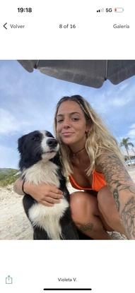Samba, perra que cuide 