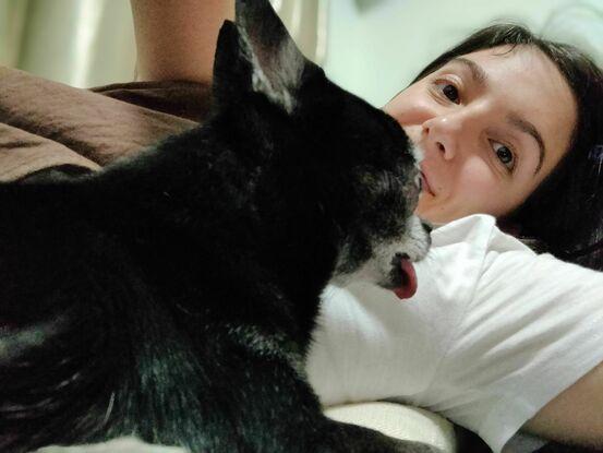 Nuestra vieja chihuahua