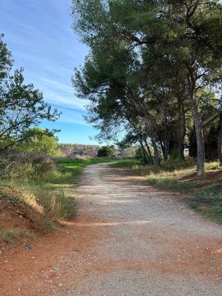 Camí del Ripoll