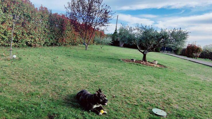 Finca privada