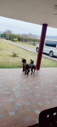 Finca privada