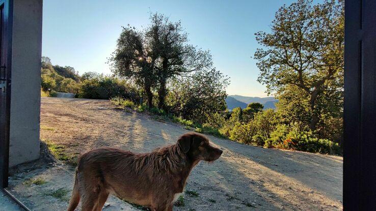 Salida de atrás, perfecta para pasear