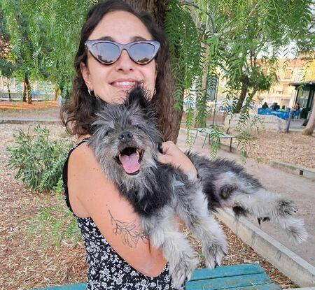 Noel, mi perro de toda la vida. Nos ha dejado en Agosto, tenia 18 años.  Ha vivido bien :)