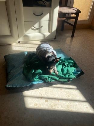 Noah tomando el sol