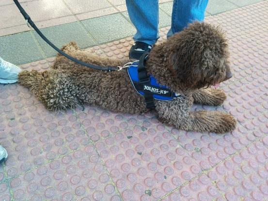 Esperando para pasar la calle