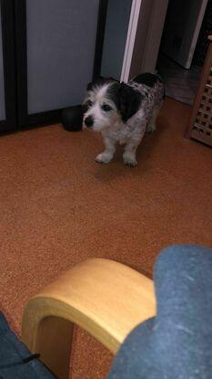 Charlie