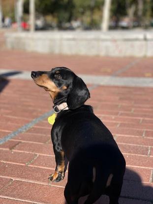 Rita llevando sol ☀️