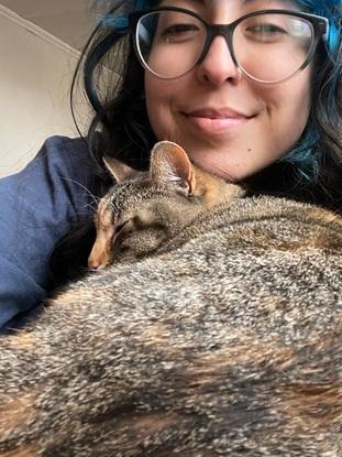 Cuidando gatitos