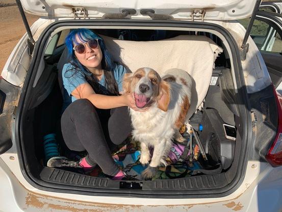 Mi perrita que espera en Chile