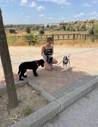 De paseo con Chispa y Bagu
