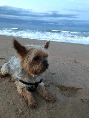 En la playita
