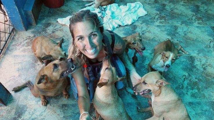 Voluntariado en santuario de rescate perruno en Sri Lanka. Perros con minusvalías. Marzo 2017.