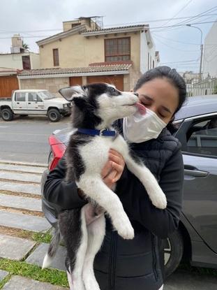 Jugando con Apolo