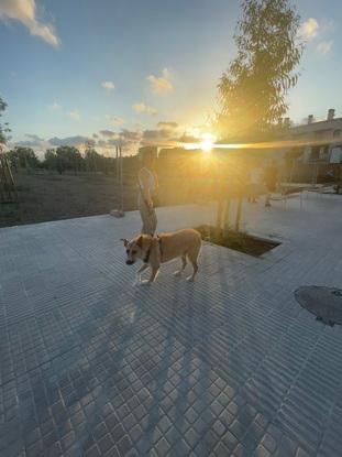 Un atardecer con Kero