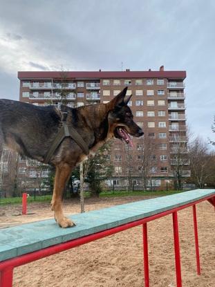 Mia en el parque