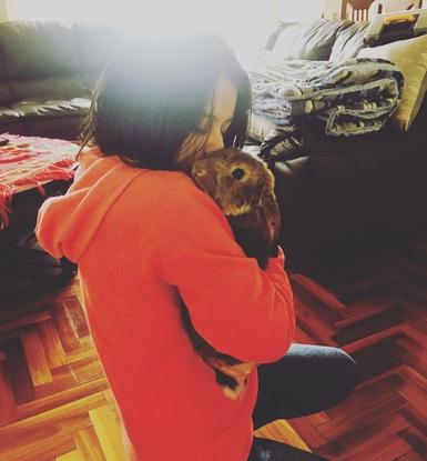 Mi conejito Chapitox 