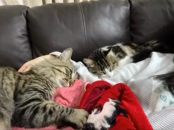 La nena y Seth durmiendo conmigo