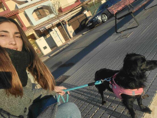 Paseo juntas