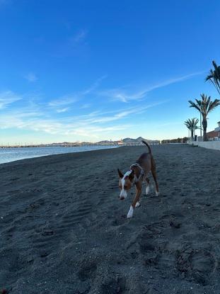 En la playa!
