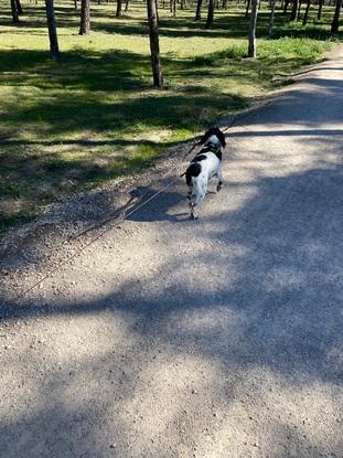 De paseo