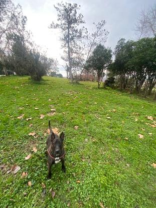 parque gerico