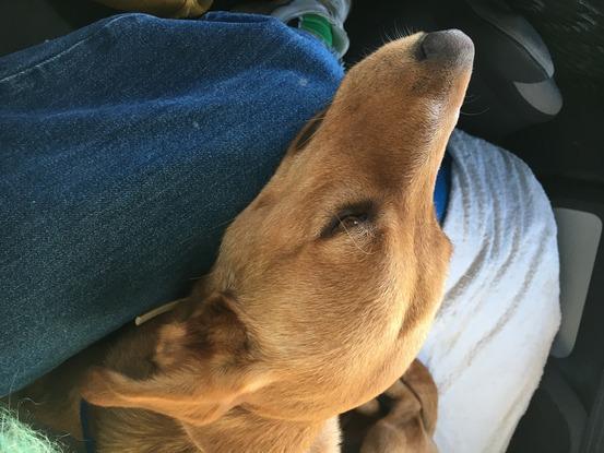 django <3