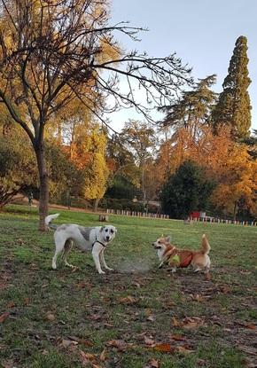 Parque Fuente del Berro