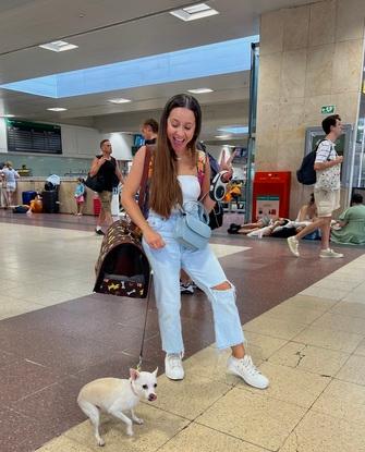 Ella es luna una chihuahua viajera que lleve de Madrid para Asturias