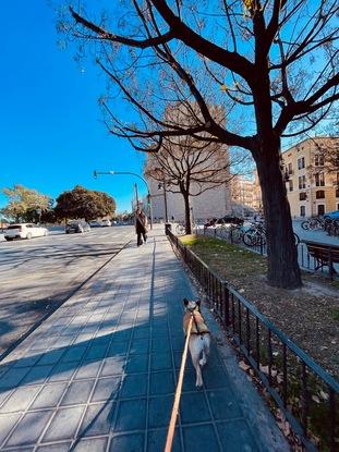 A una calle de casa 