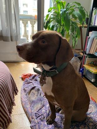 Miller, de visita en casa