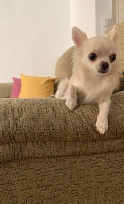 Bonnie huesoed especial especial