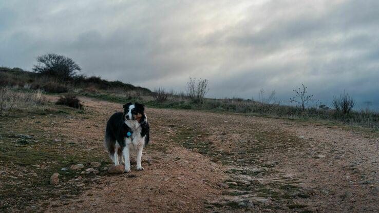 Un paseo en zona tranquila