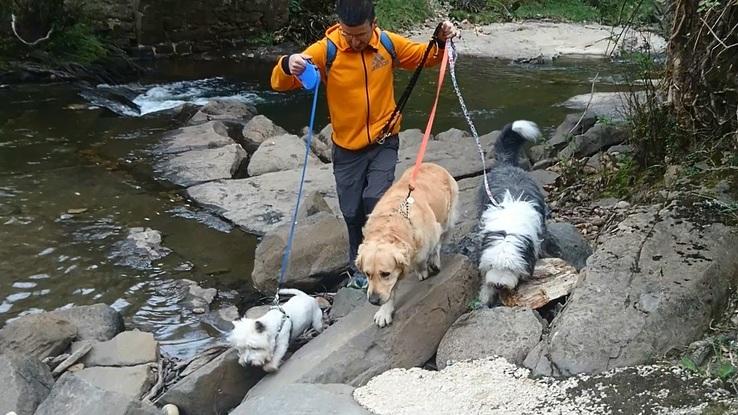 Excursión con tres perretes.