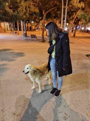 Senyor Nuk