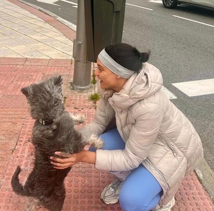 El es bruno, siempre lo paseo y juego con el en el parque